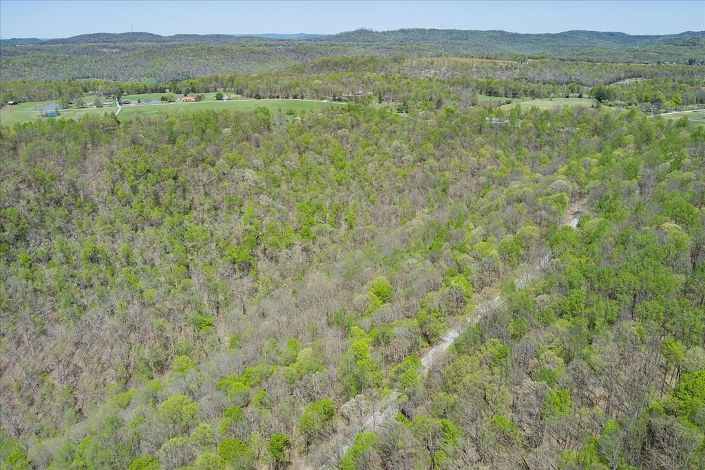 0 Rocky Point Road 34 Acres Cookeville TN 38506