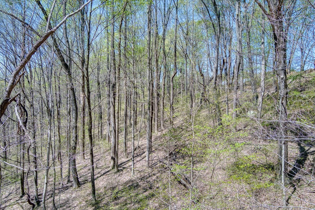 0 Rocky Point Road 34 Acres Cookeville TN 38506