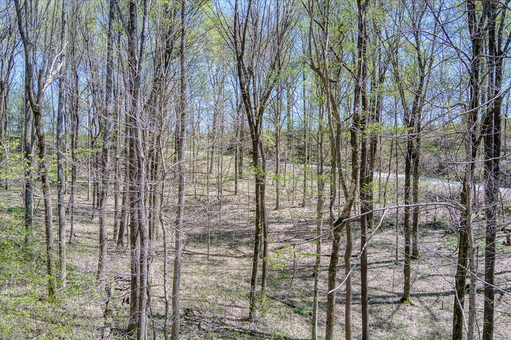 0 Rocky Point Road 34 Acres Cookeville TN 38506