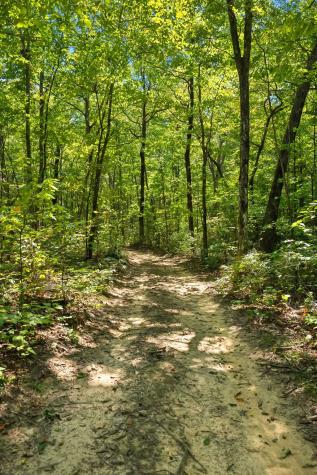 0 Middle Ridge Road Beersheba Springs TN 37305