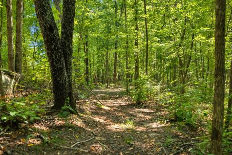 0 Middle Ridge Road Beersheba Springs TN 37305