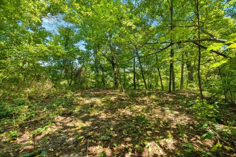 0 Middle Ridge Road Beersheba Springs TN 37305