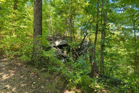 0 Middle Ridge Road Beersheba Springs TN 37305