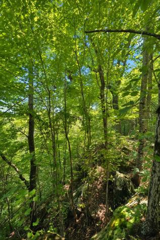 0 Middle Ridge Road Beersheba Springs TN 37305