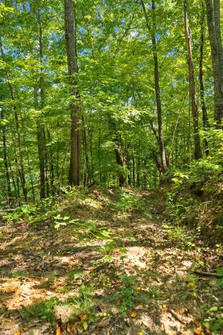 0 Middle Ridge Road Beersheba Springs TN 37305