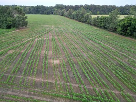 0 Six Mile Board Road Belvidere TN 37306