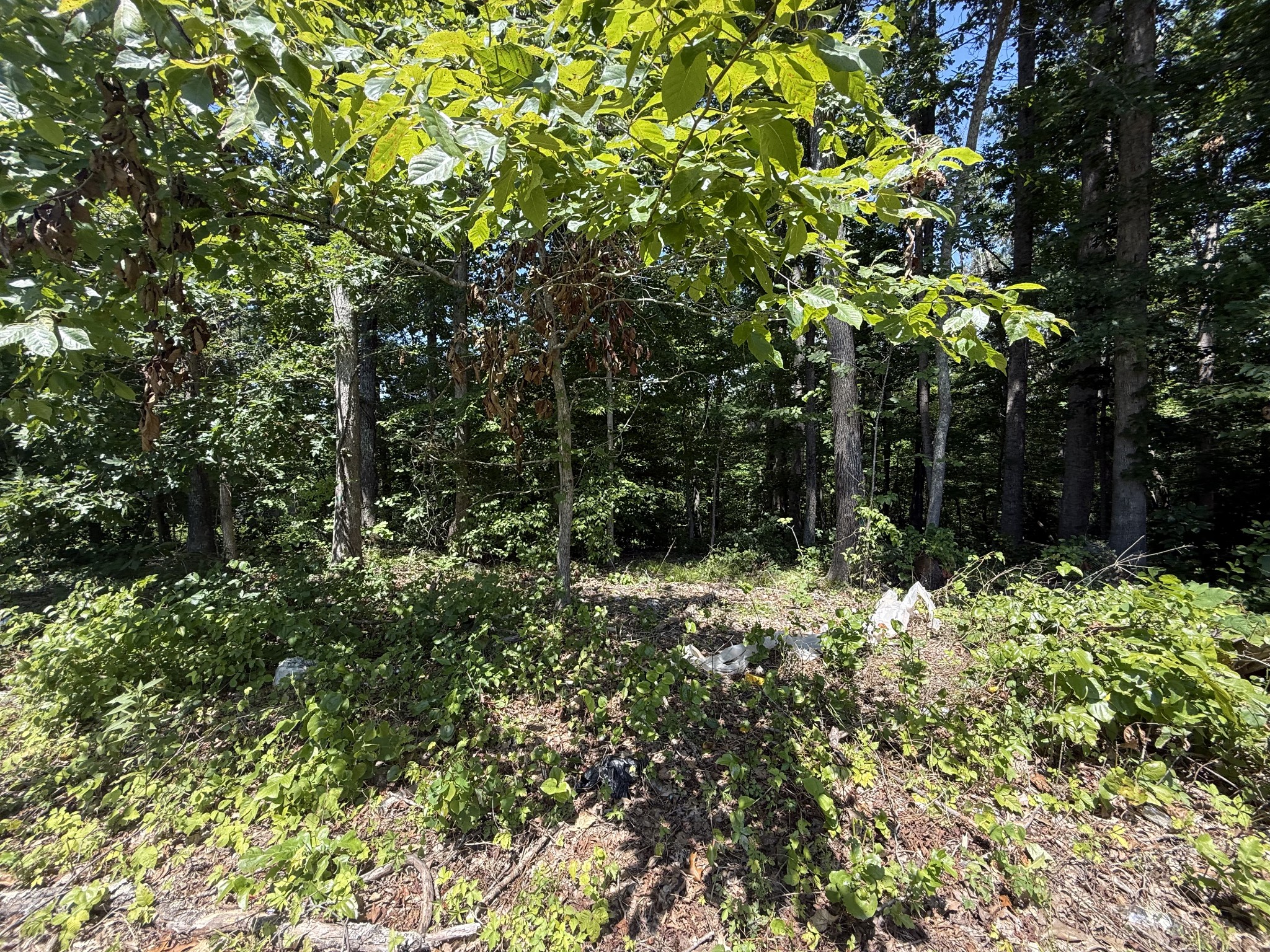 0 Trailwood Court Joelton TN 37080