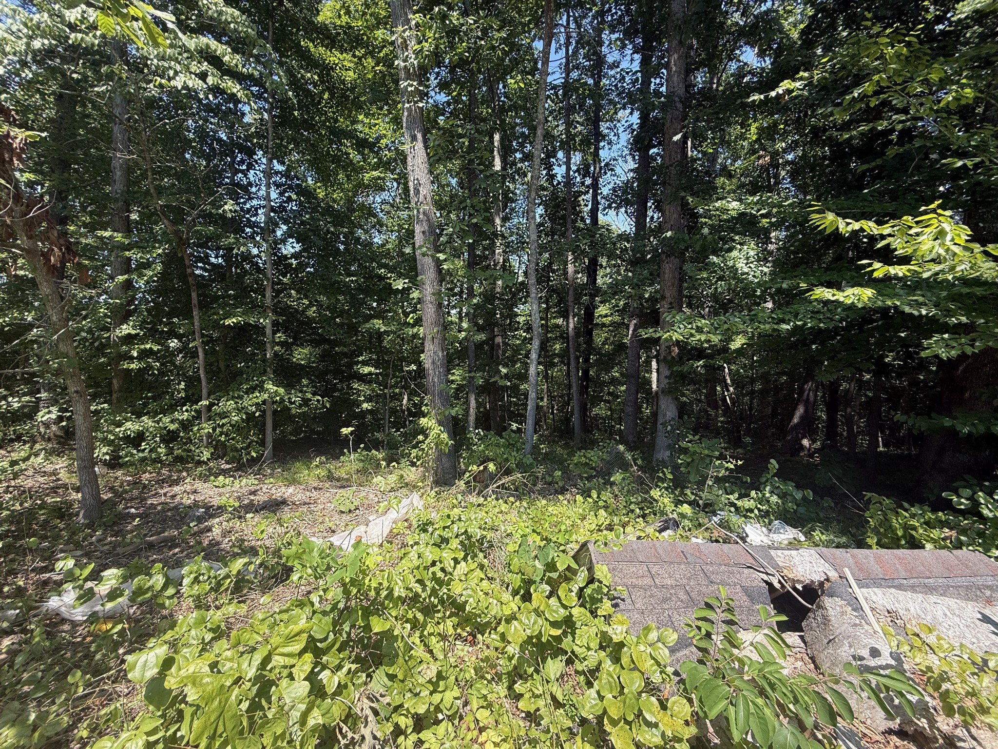 0 Trailwood Court Joelton TN 37080