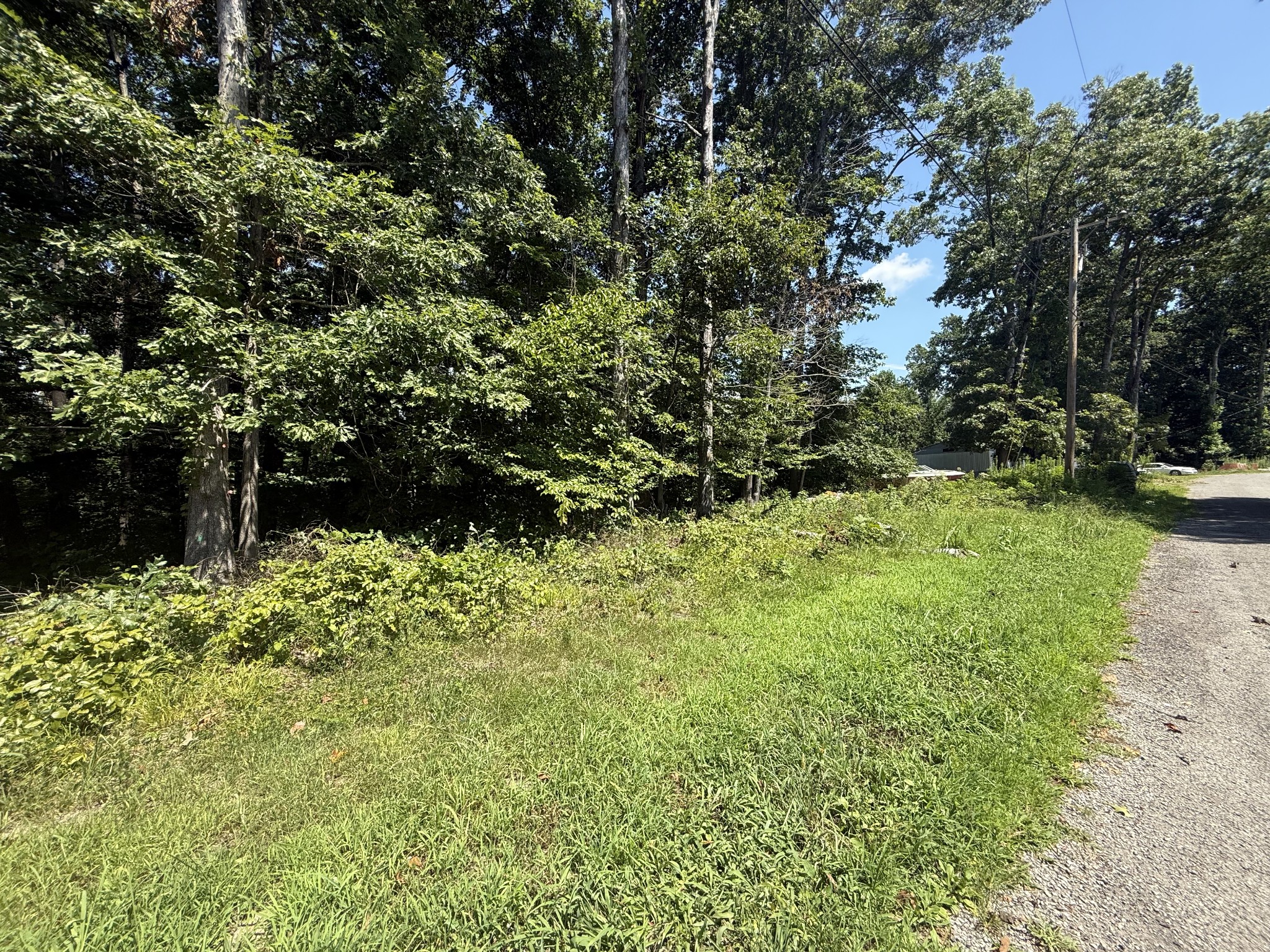 0 Trailwood Court Joelton TN 37080