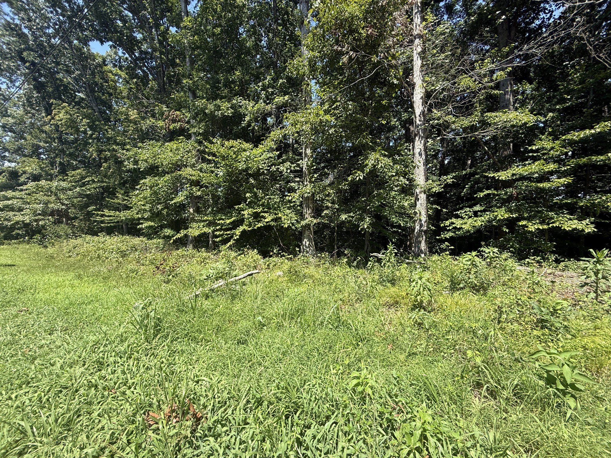 0 Trailwood Court Joelton TN 37080