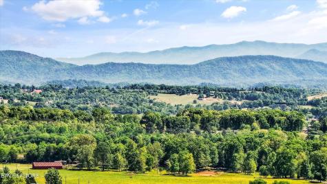 0 Gregory Road Greenback TN 37742