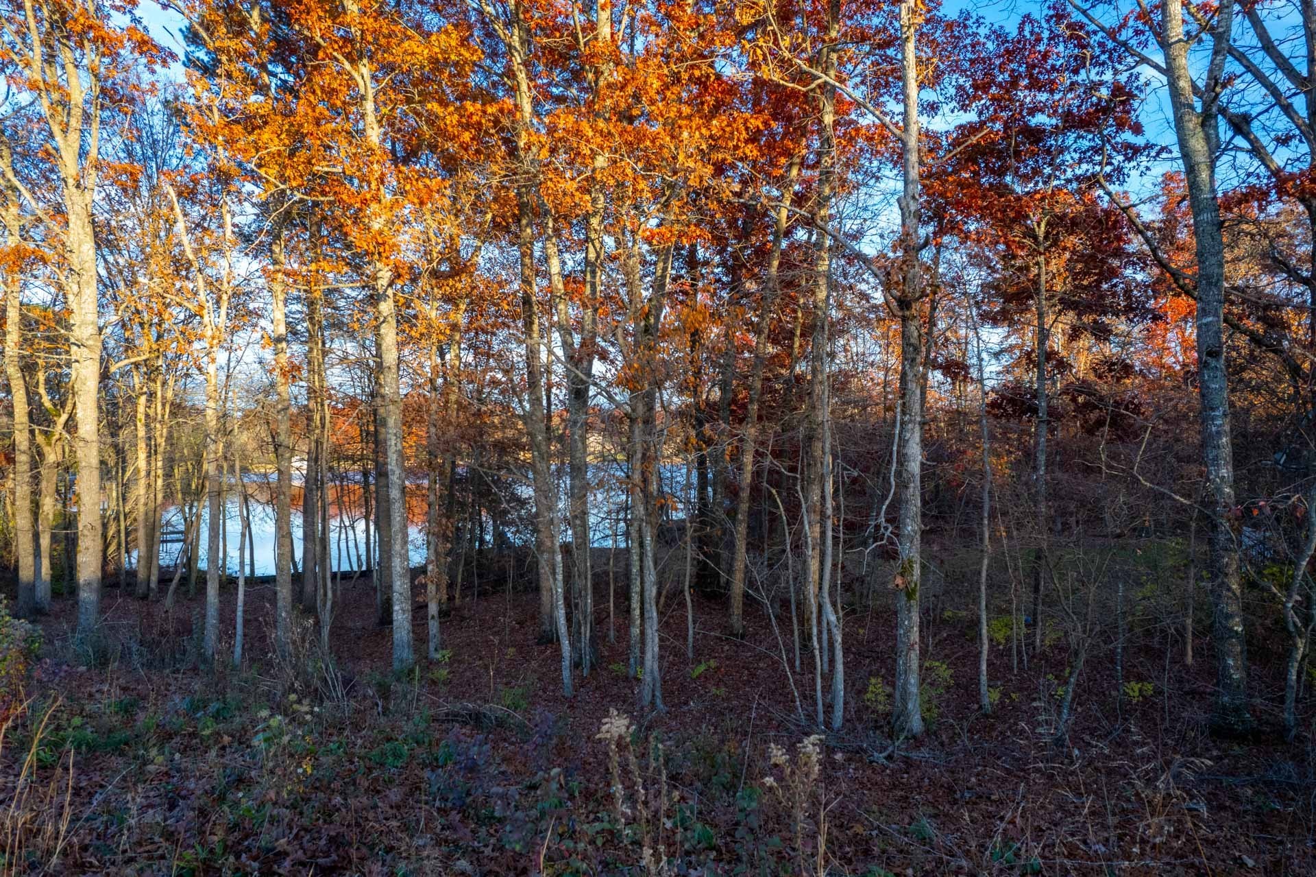0 Deer Creek Drive Crossville TN 38571