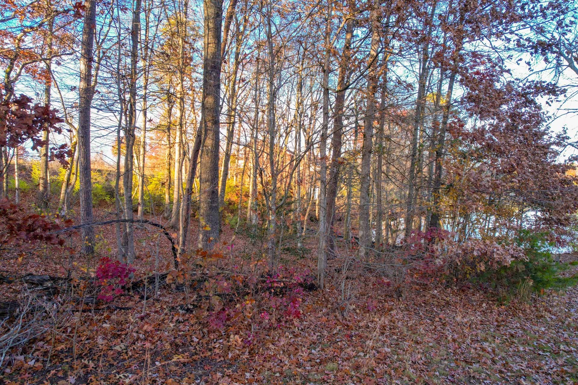 0 Deer Creek Drive Crossville TN 38571