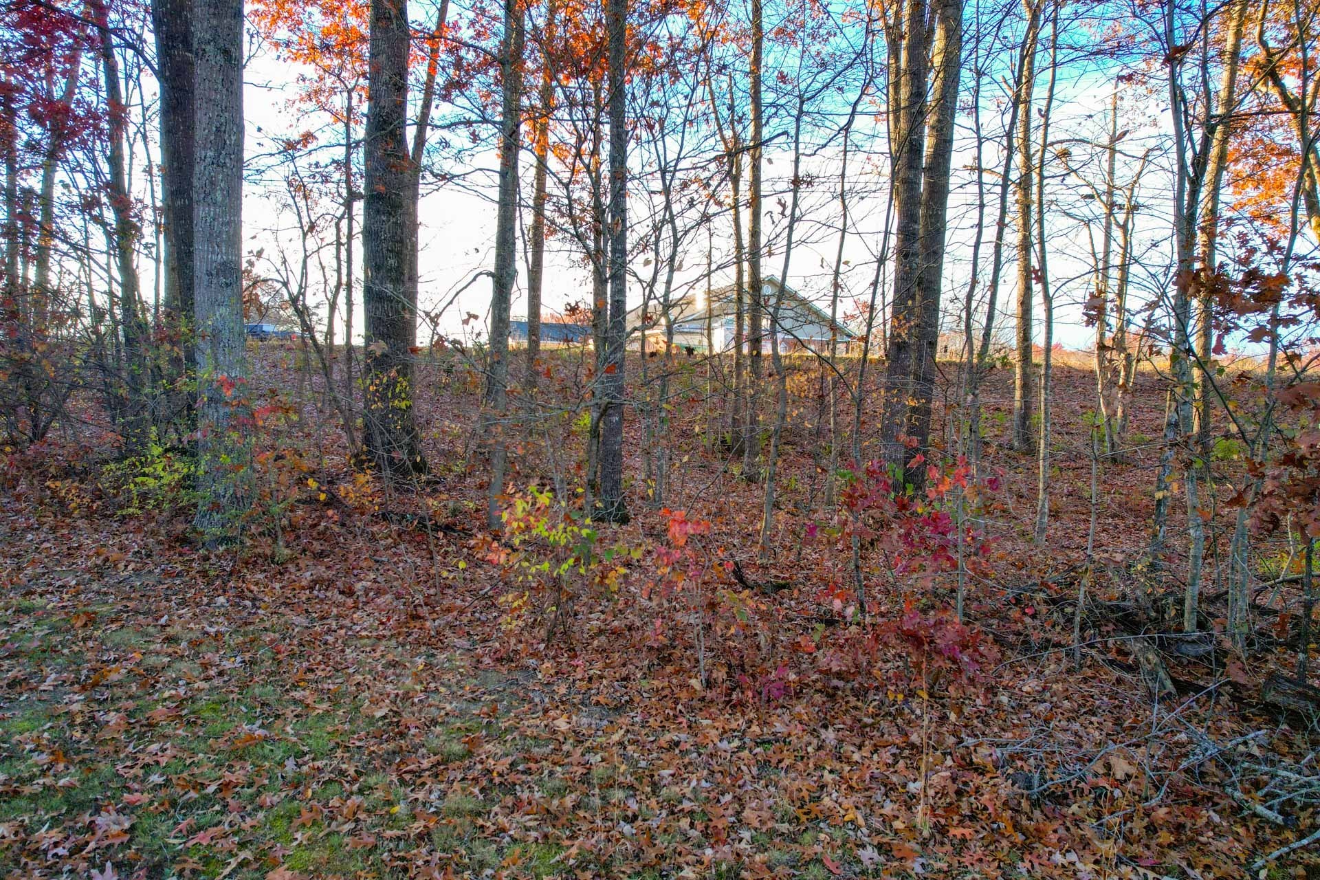 0 Deer Creek Drive Crossville TN 38571