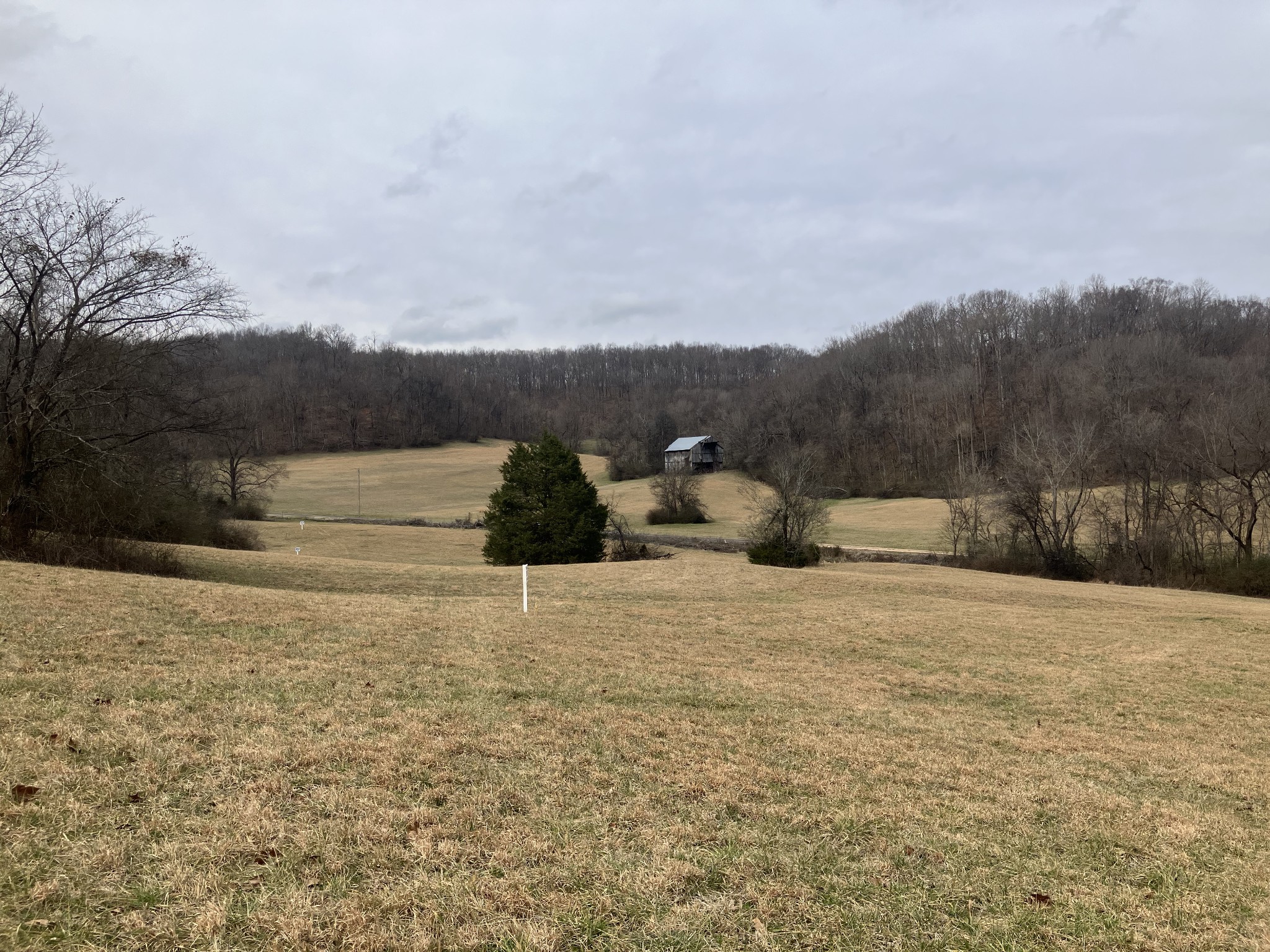 12 Booker Ridge Road Mount Pleasant TN 38474