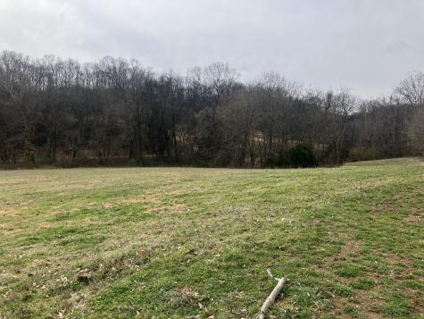 12 Booker Ridge Road Mount Pleasant TN 38474