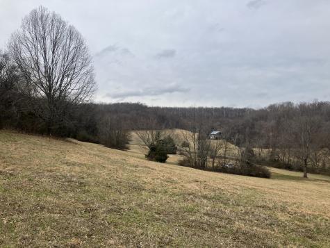 12 Booker Ridge Road Mount Pleasant TN 38474