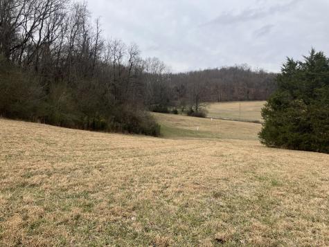 12 Booker Ridge Road Mount Pleasant TN 38474