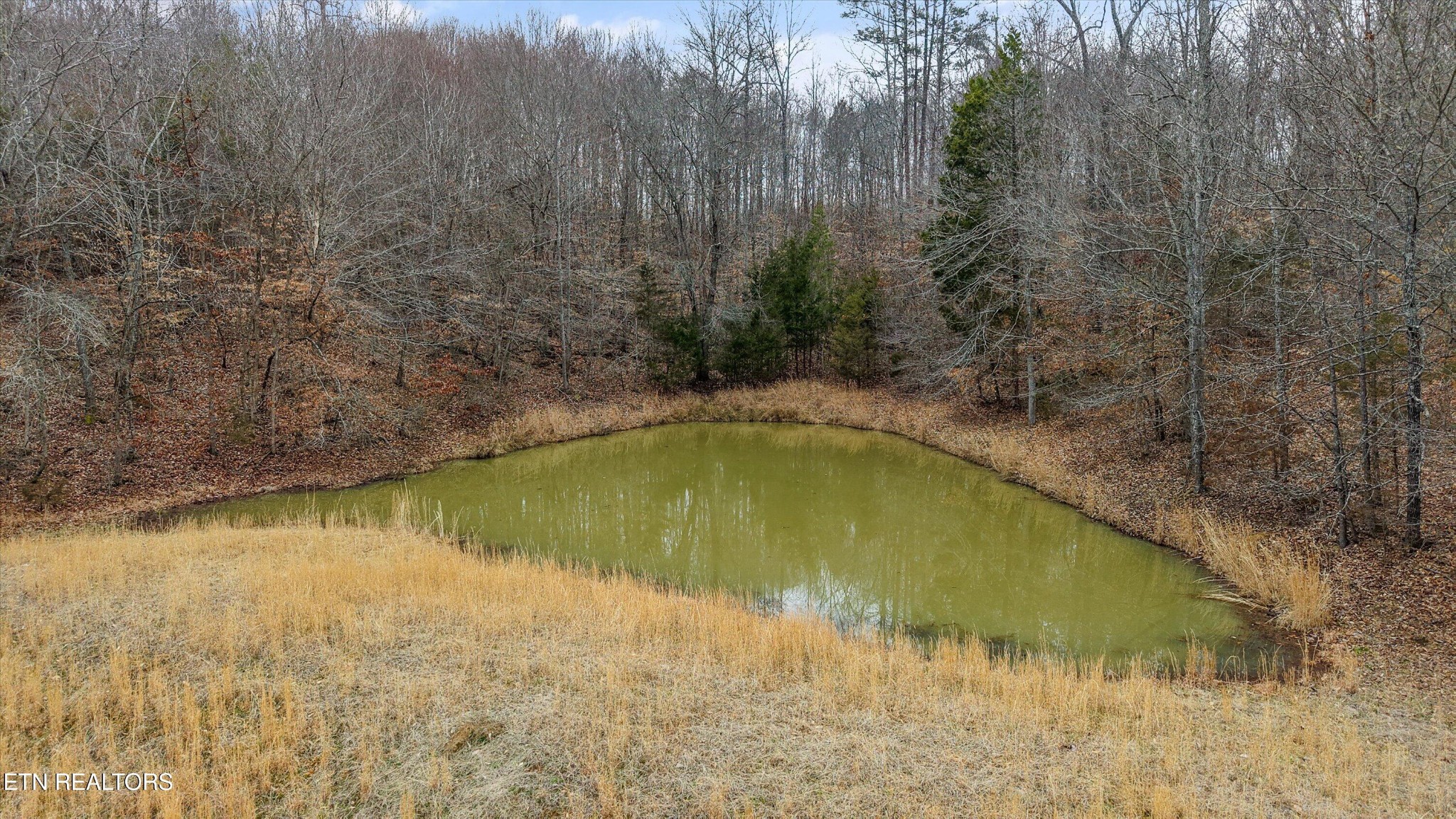 1201 Laurel Bluff Road Kingston TN 37763
