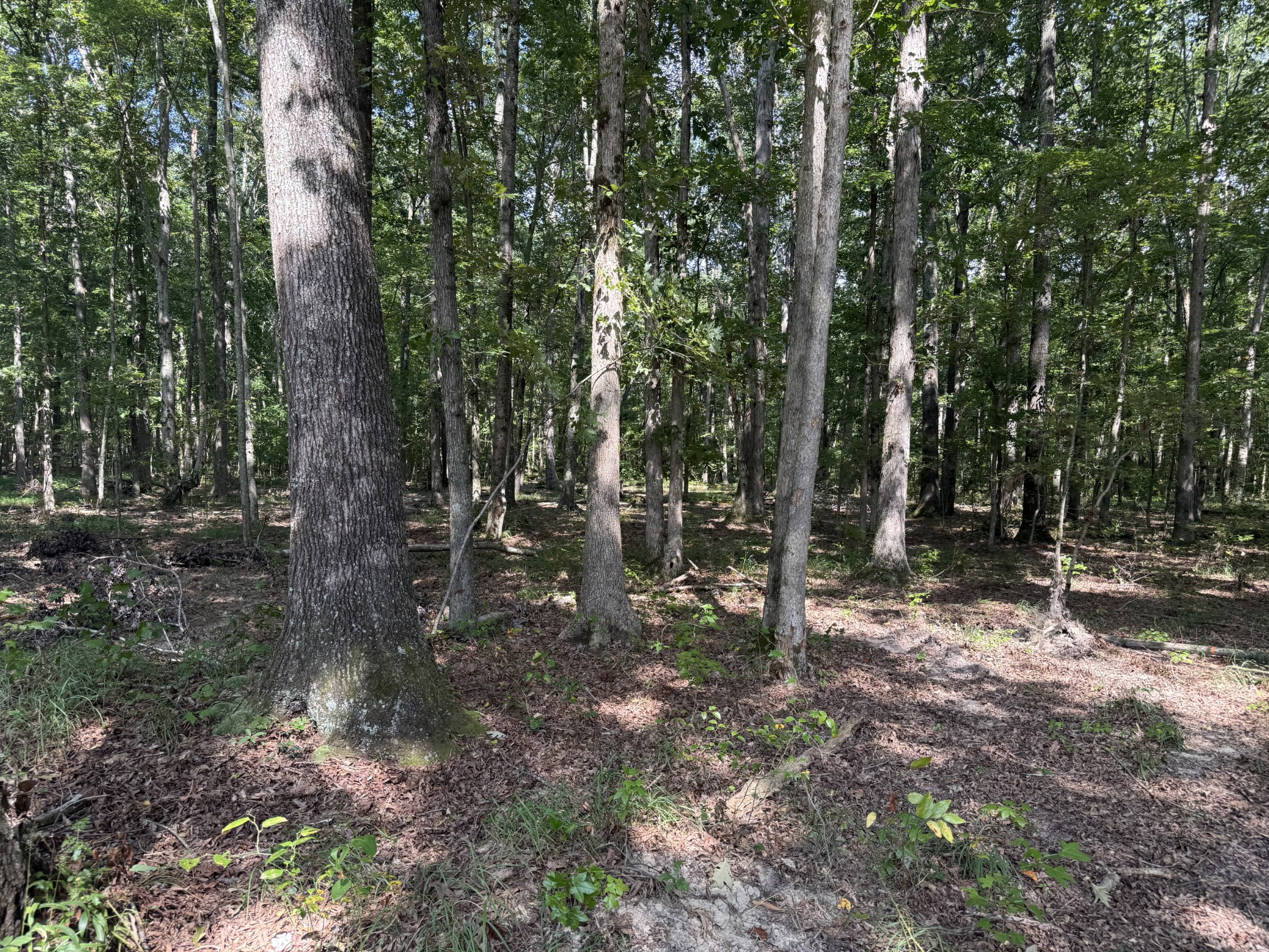 0 Old Baxter Road Silver Point TN 38582