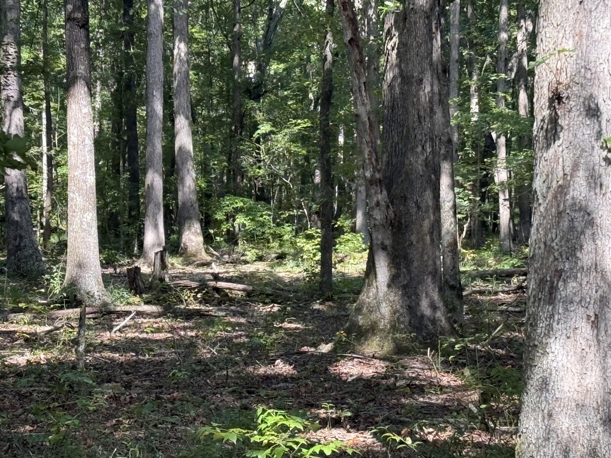 0 Old Baxter Road Silver Point TN 38582