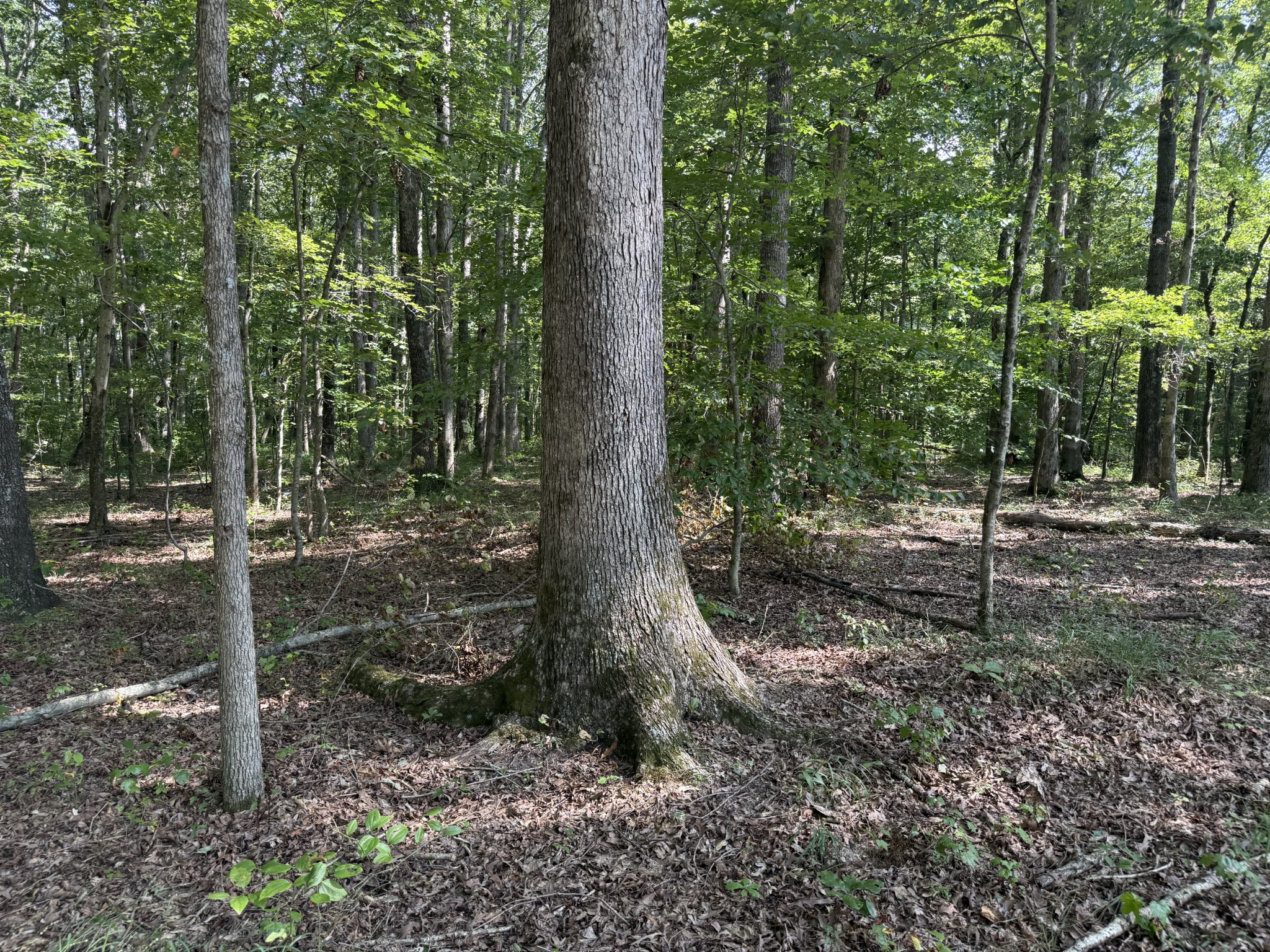 0 Old Baxter Road Silver Point TN 38582