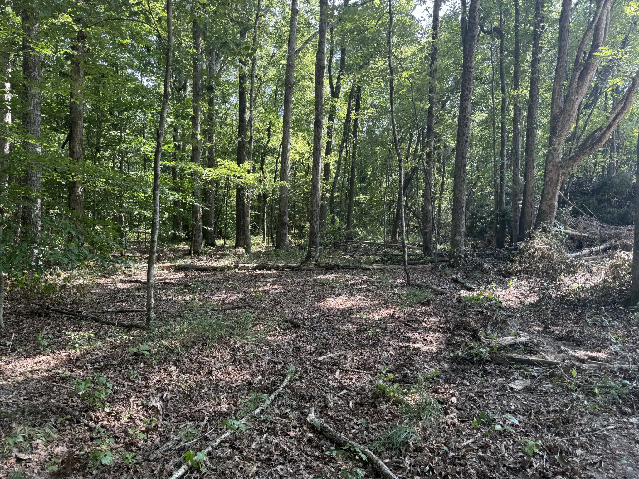 0 Old Baxter Road Silver Point TN 38582