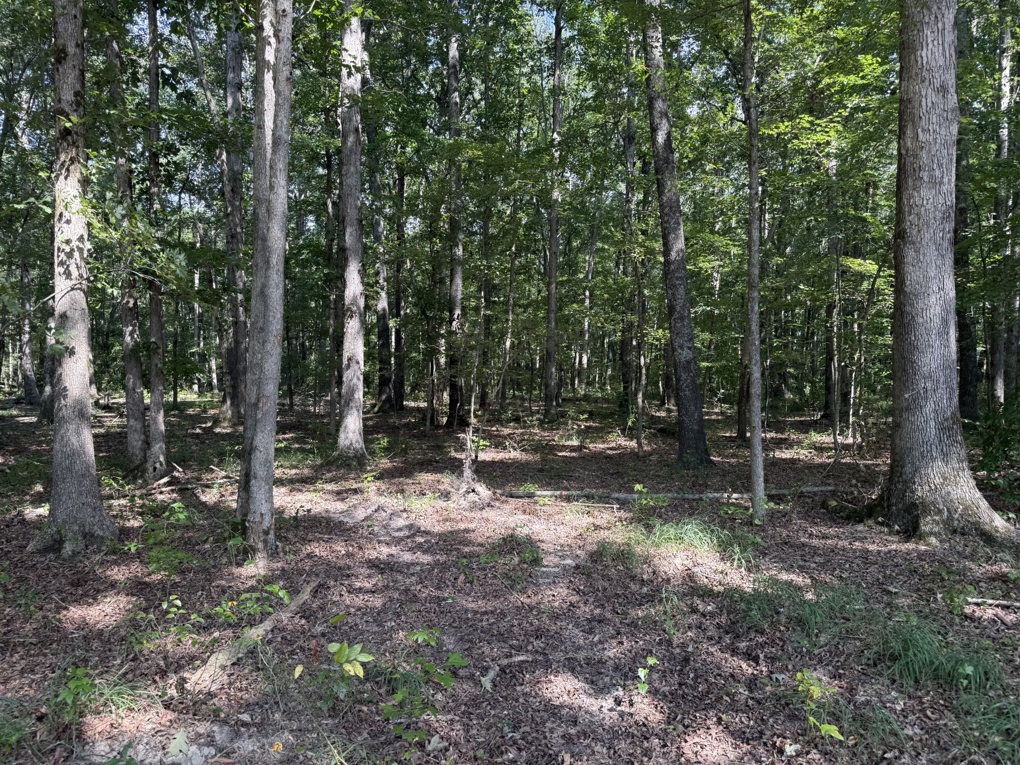 0 Old Baxter Road Silver Point TN 38582