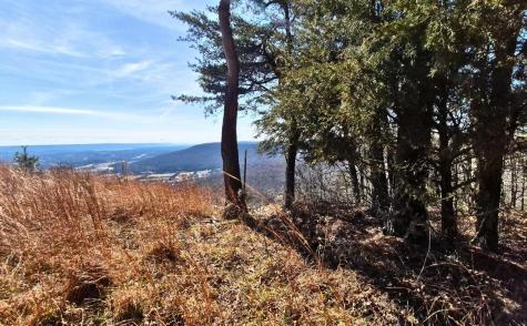 9 Lodge Point Road South Pittsburg TN 37380