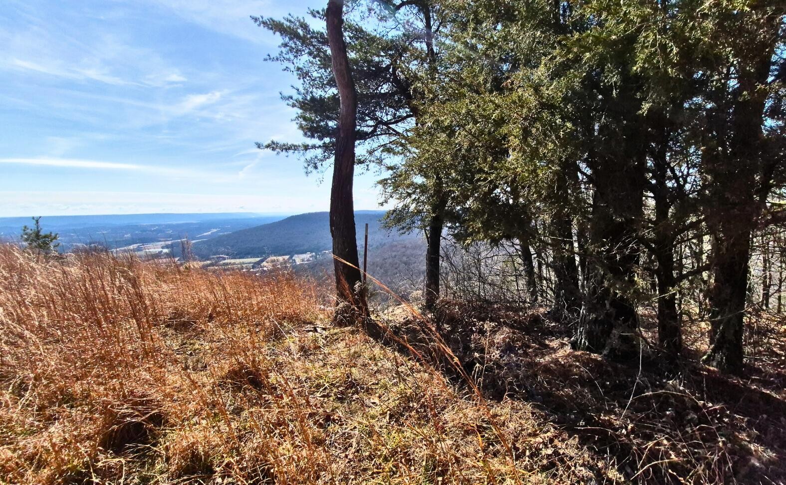 9 Lodge Point Road South Pittsburg TN 37380