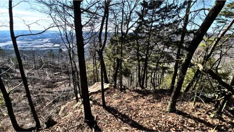 9 Lodge Point Road South Pittsburg TN 37380
