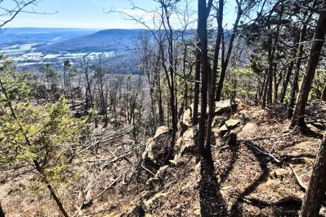 9 Lodge Point Road South Pittsburg TN 37380