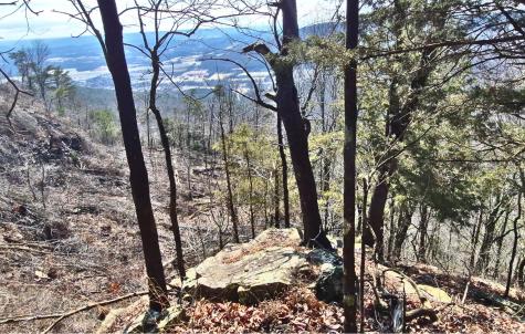 9 Lodge Point Road South Pittsburg TN 37380