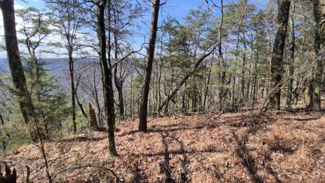 9 Lodge Point Road South Pittsburg TN 37380