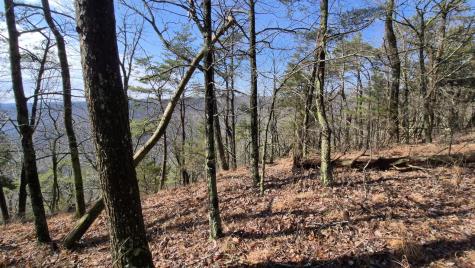 9 Lodge Point Road South Pittsburg TN 37380