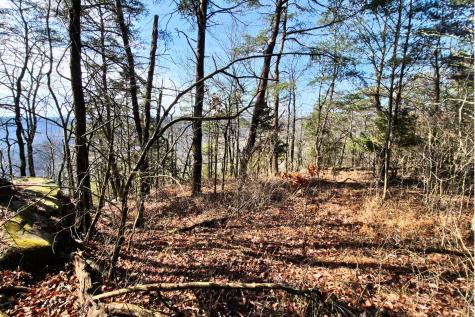 9 Lodge Point Road South Pittsburg TN 37380