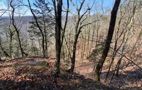 9 Lodge Point Road South Pittsburg TN 37380