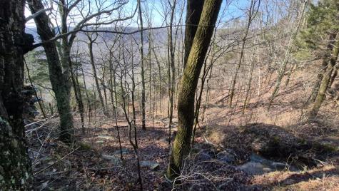 9 Lodge Point Road South Pittsburg TN 37380