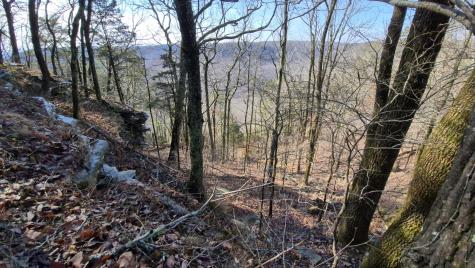 9 Lodge Point Road South Pittsburg TN 37380
