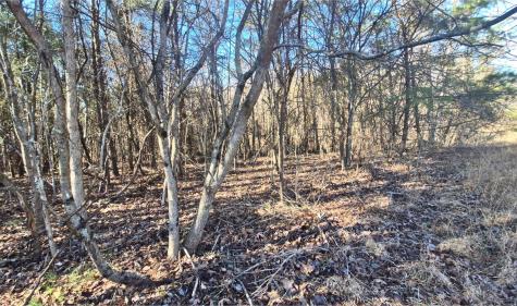 9 Lodge Point Road South Pittsburg TN 37380