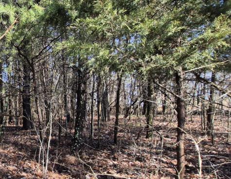 9 Lodge Point Road South Pittsburg TN 37380