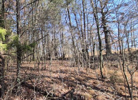 9 Lodge Point Road South Pittsburg TN 37380