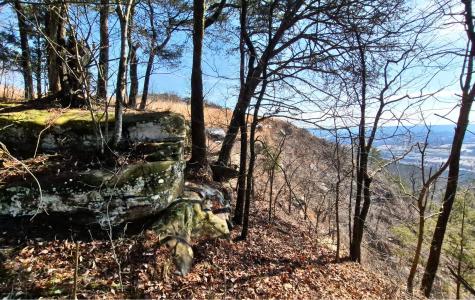 9 Lodge Point Road South Pittsburg TN 37380
