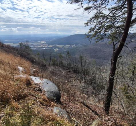 9 Lodge Point Road South Pittsburg TN 37380