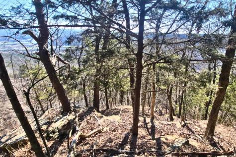 9 Lodge Point Road South Pittsburg TN 37380