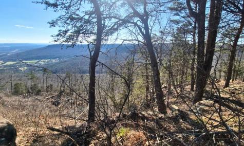 9 Lodge Point Road South Pittsburg TN 37380