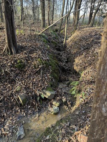 1018 Gaines Hill Road Westmoreland TN 37186