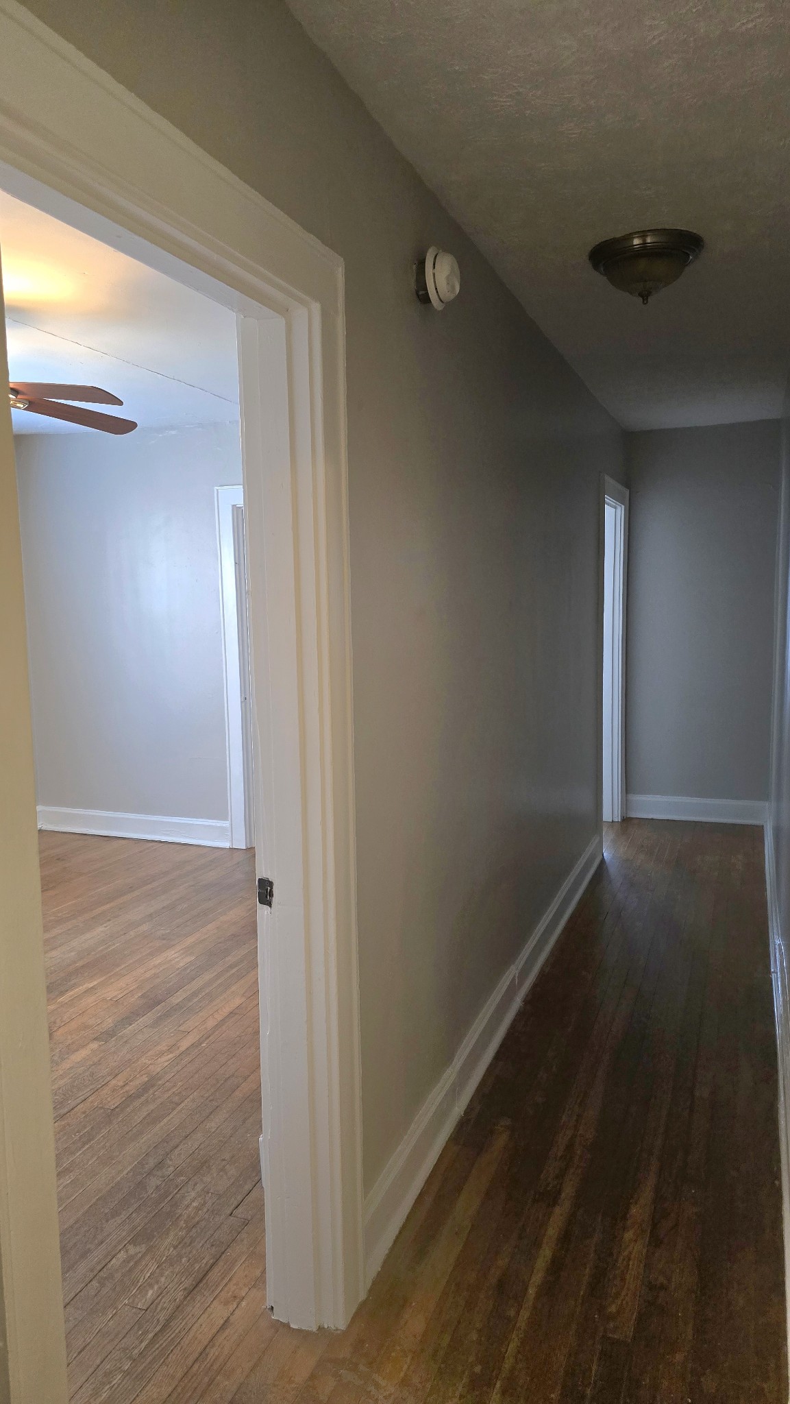 419 Belmont Avenue Shelbyville TN 37160