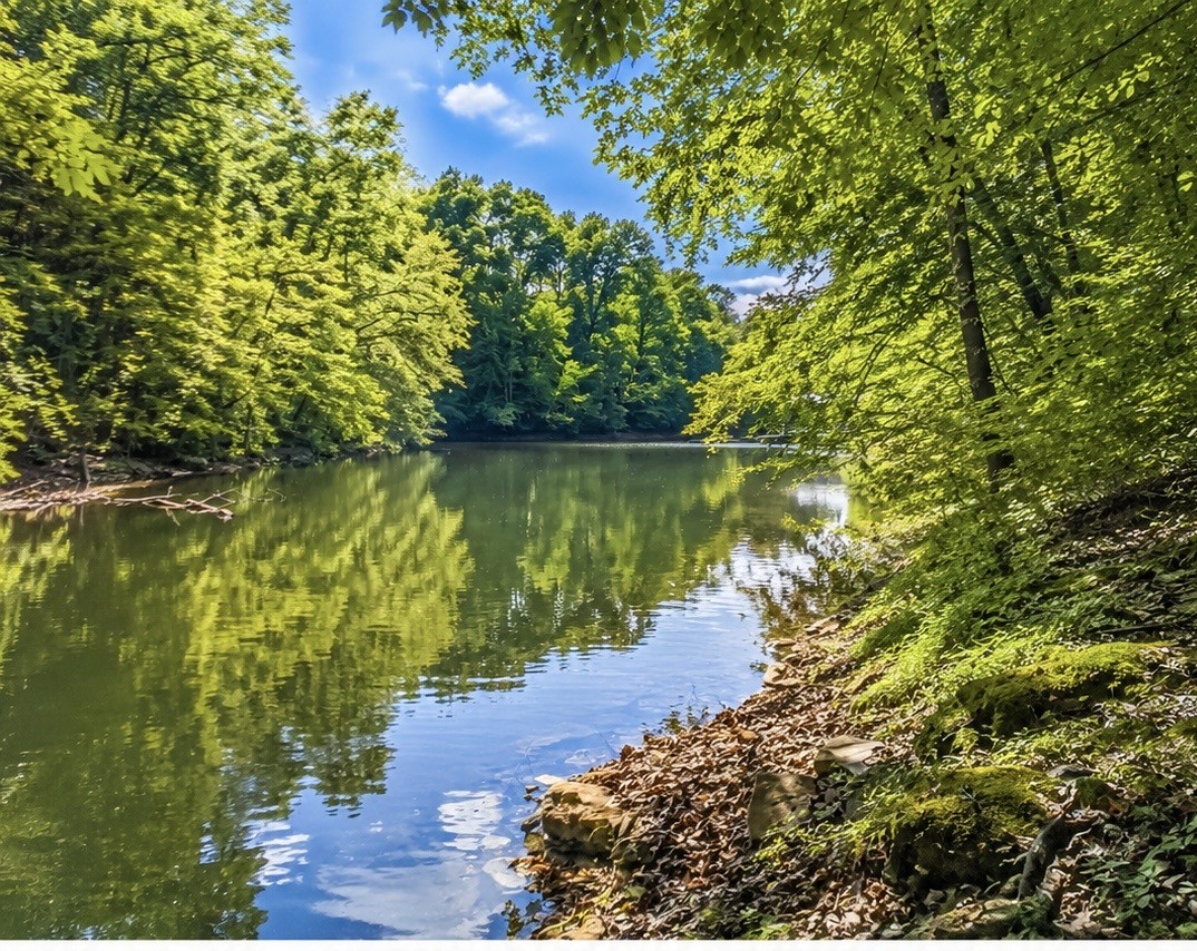 0 Elklore Avenue Estill Springs TN 37330