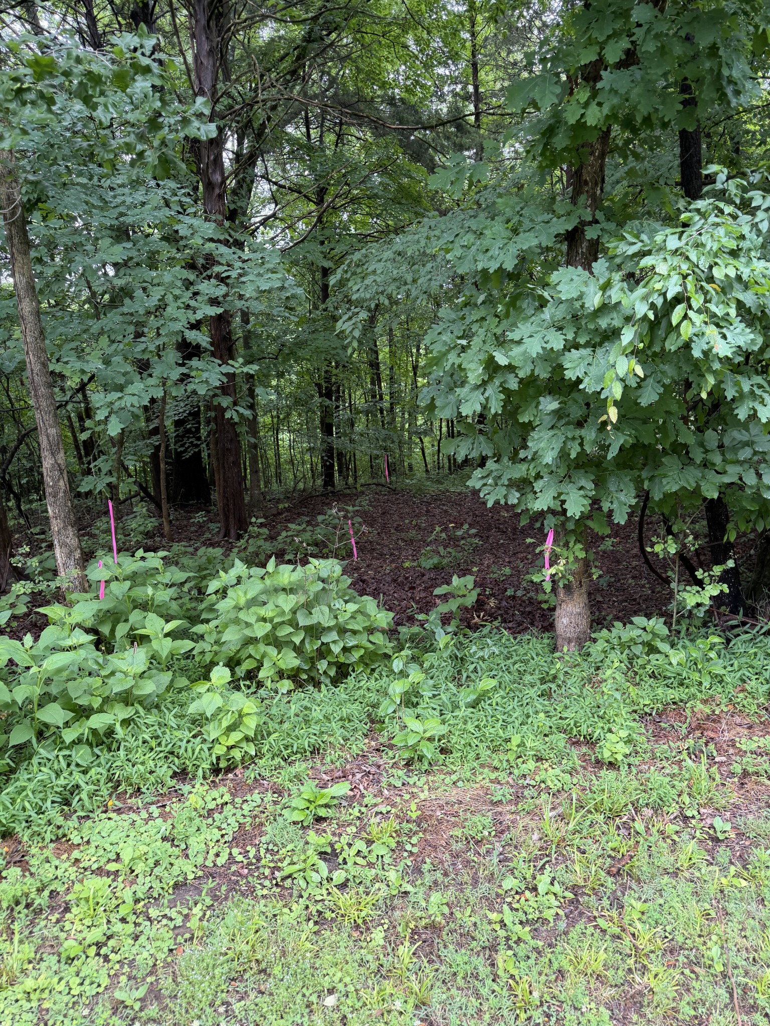 0 Elklore Avenue Estill Springs TN 37330